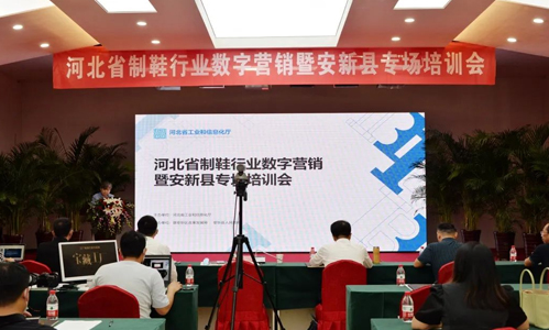 【為企業服務 創模范機關】以新型數字營銷模式引導企業進入營銷新賽道